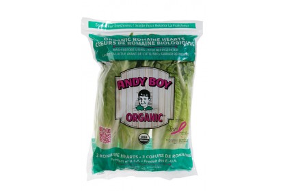 Organic Romain in the bag