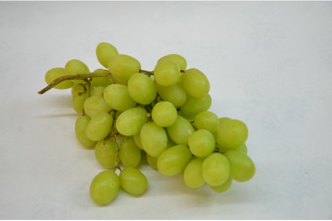 grape seedless green  