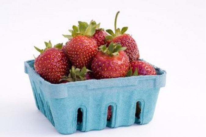 Berries Strawberry ONTARIO larger