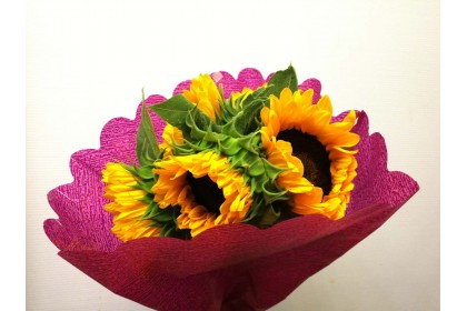 SUNFLOWER 5 STEM