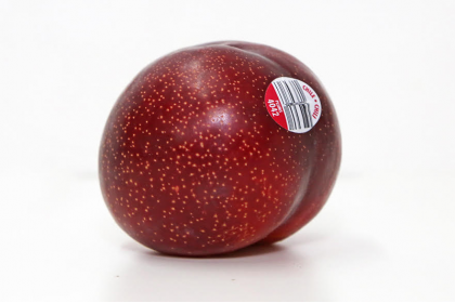 Plum Sweet Red  