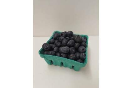 berries Blueberry