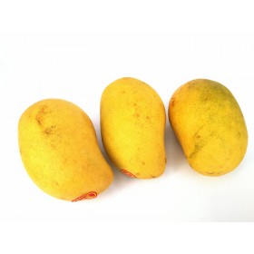 Mango Yellow  