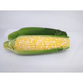 CORN 3 units 