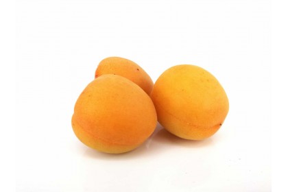 Apricot