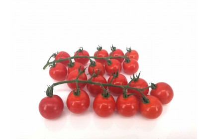 Tomato Cherry 