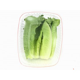 Baby Romaine Hearts