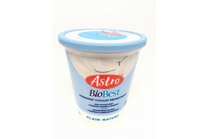 Yogurt L BioBest Plain  