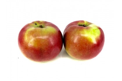 apple ontario mcintosh 