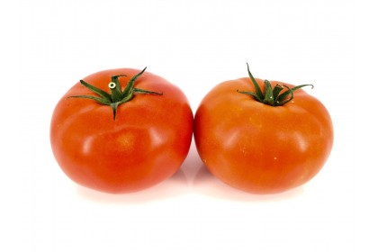 Tomato Hot House  