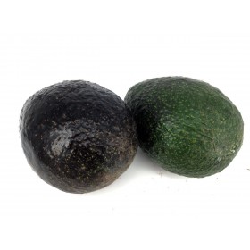 Avocado 