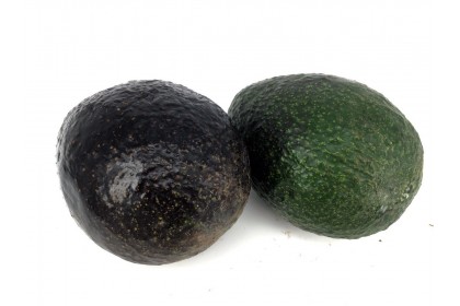 Avocado Organic 