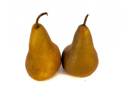 Pear Bosc  