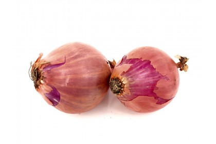 fresh Shallot