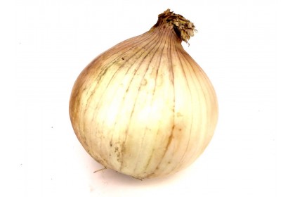 Onion  Spanish