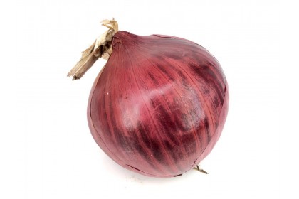 Onion Red  