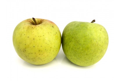 Apple Mutsu Ontario