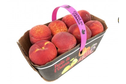 Peaches in basket Ontario