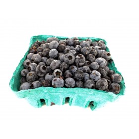 Berries Wild Blueberries Ontario 