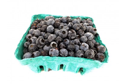 Berries Wild Blueberries Ontario 