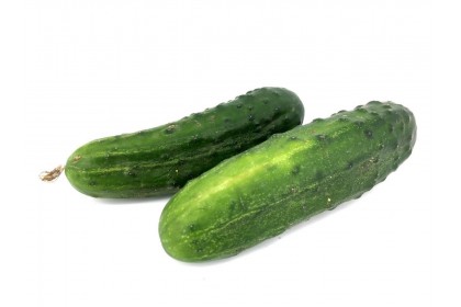 Cucumber Dill 