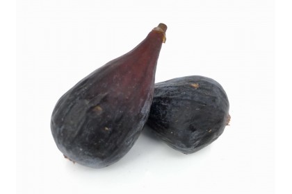 Figs 1.49EA