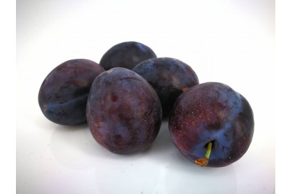 Prune Plum 