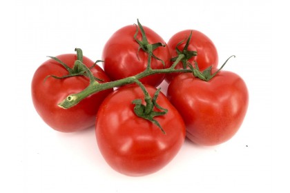 Tomato Roma  