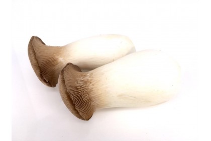 Mushroom King Oyster  $12.99/lb