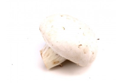 Mushroom Fresh White  $4.99/lb