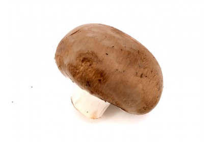Mushroom  Fresh Brown  4.99/lb