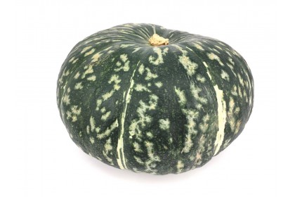 Squash Buttercup 