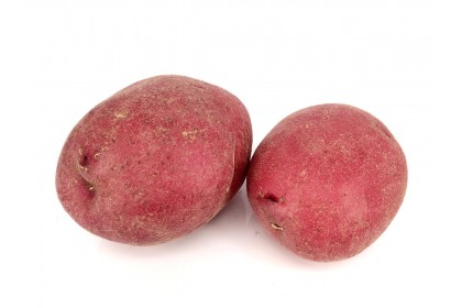 potato  fresh red  1.49 lb