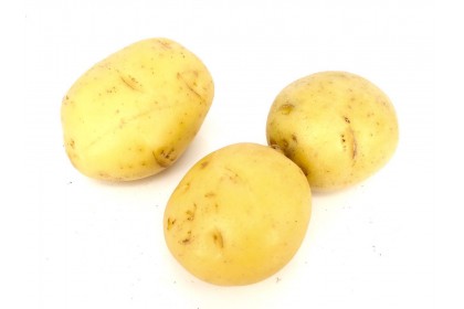 potato fresh youkon  1.49 lb