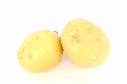 potato  fresh white potato 1.99 lb