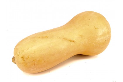 Squash Butternut(with skin)