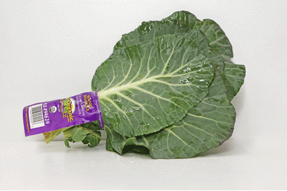 Collard Green   Organic