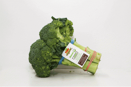 Broccoli  Organic