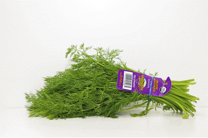 Dill  Organic