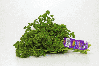  Curly  parsley Organic 