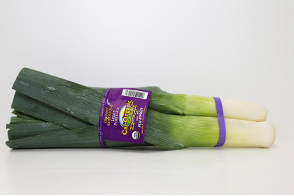 Leek Organic