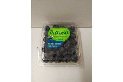 berries Blueberries  Organic