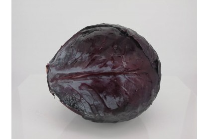 Cabbage Red 