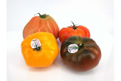 Tomato  Heirloom 