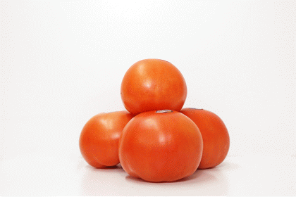 Tomatoes Field  