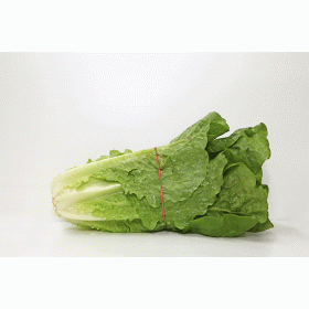 Romaine