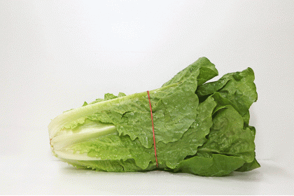 Romaine