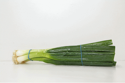 Onion Green Onion  