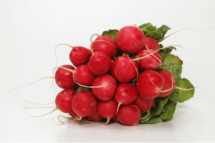 Radishes