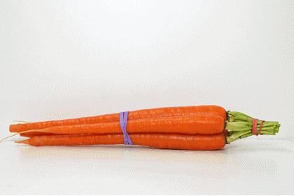 Carrot  bunch